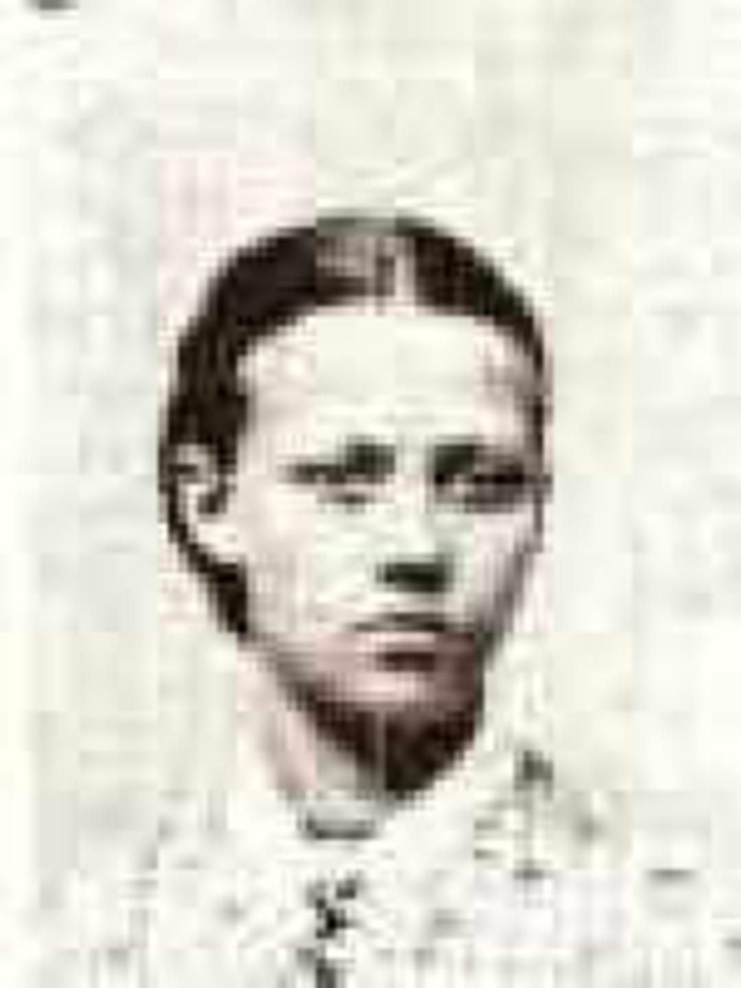 Mary Ann Brinkerhoff (1842 - 1891) Profile